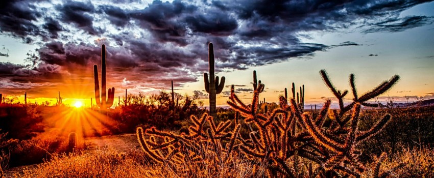 Mayo Clinic MSK Imaging: Excellence through Clinical Collaboration -Scottsdale, AZ- Sept 14-16, 2023