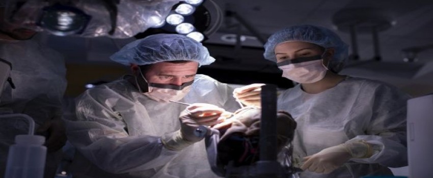 Rhoton-de Oliveira: Microsurgical and Endoscopic Approaches for Skull Base and Aneurysms 2023