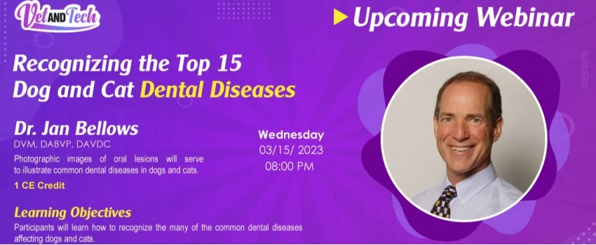 Recognizing the Top 15 Dog and Cat Dental Diseases Webinar by Dr. Jan Bellows