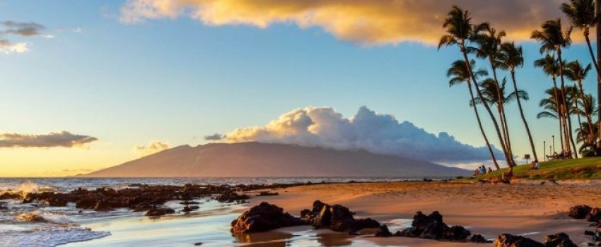 Mayo Clinic Tutorials in Diagnostic Radiology - Maui, Hawaii - January 14-18, 2024