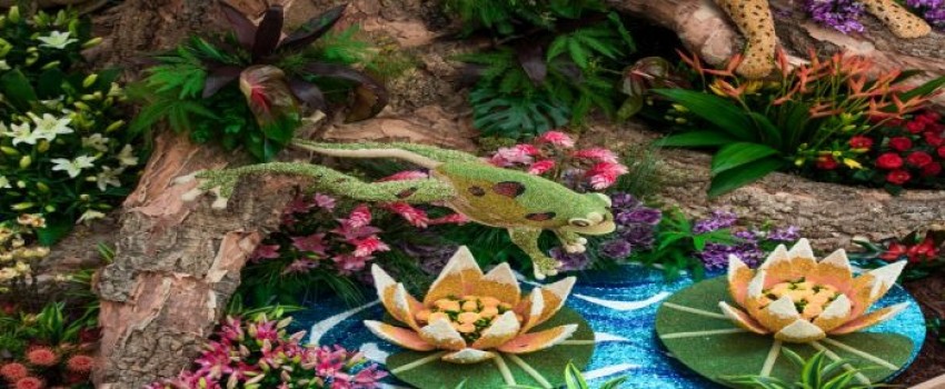 33rd Annual Southern California Spring Garden Show and Fleurs de VIlles at South Coast Plaza 4.20-23
