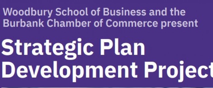 Strategic Plan Development Project