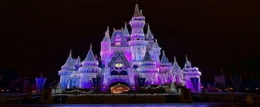 Primary Care CME at Walt Disney World Orlando, January 2024