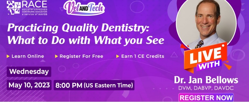 Practicing Quality Dentistry: What to Do with What You See: Register for Free Webinar