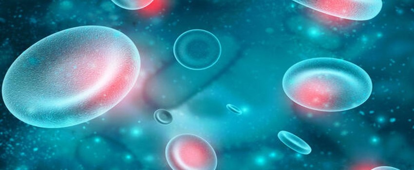 Updates in Cancer Novel Immunotherapies 2023