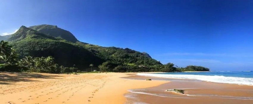Diagnostic Imaging Update on Kauai- June 23-25, 2024