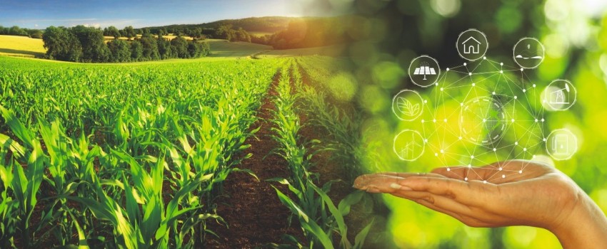 Global Organic Expo