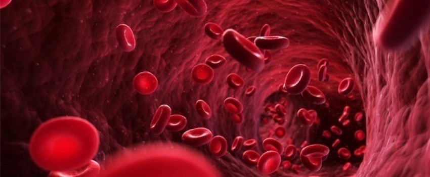 Mayo Clinic 7th Annual Hematology and Oncology for NPs and PAs 2023