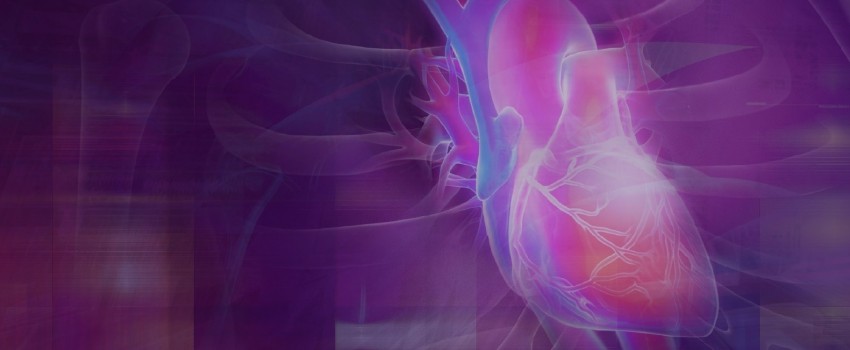 Heart Failure Management for NP, PA, and Primary Care Providers