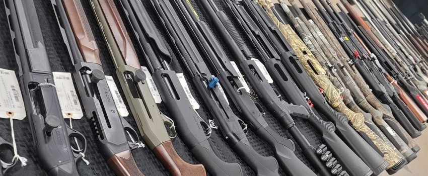 PE GUNS SHOW LOVELAND