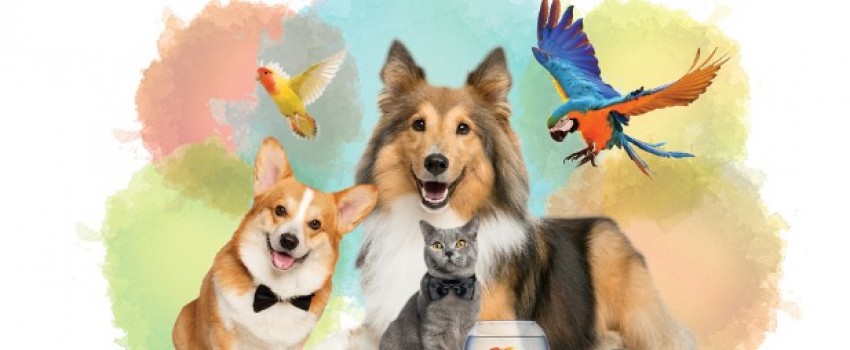 PET EXPO
