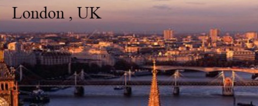  International Conference on Advances in Business Management and Information Science