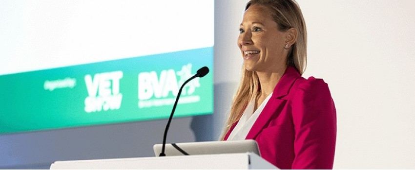 BVA LIVE
