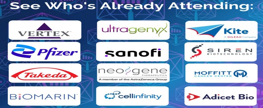 Viral Vector Characterization & Analytical Development
