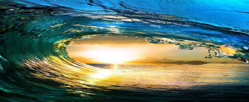 Hawaii Heart - Echocardiography and Multimodality Imaging