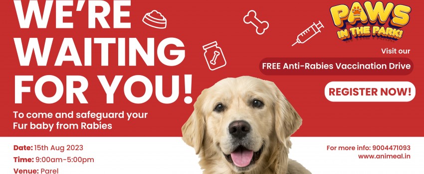 Paws In The Park For Cats & Dogs In Mumbai , Thane , Navi-Mumbai