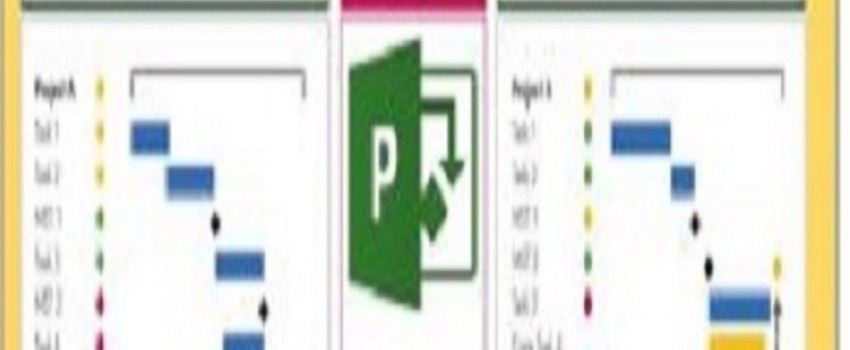 Training Course on ICT Tools for Modern Project and Program  Management