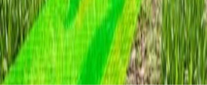 Training Course on Application of GIS in Agriculture and Climate Change