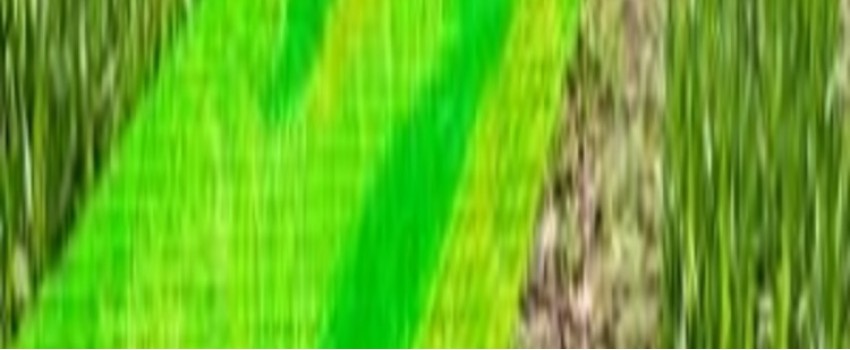 Training Course on Application of GIS in Agriculture and Climate Change