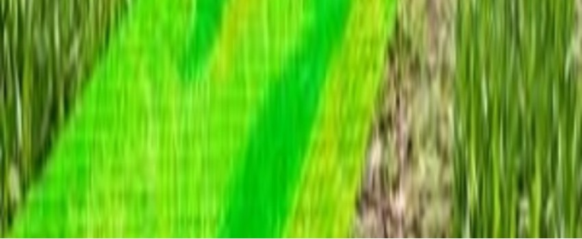 Training Course on Application of GIS in Agriculture and Climate Change