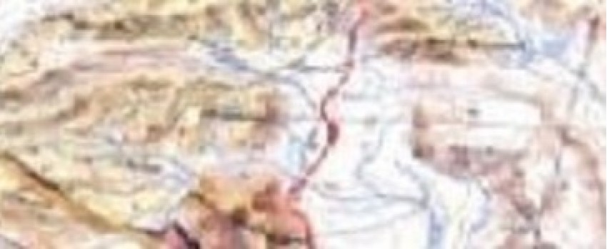 Training Course on Application of GIS in Water, Sanitation and Hygiene