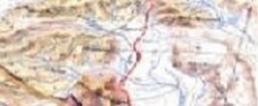 Training Course on Application of GIS in Water, Sanitation and Hygiene