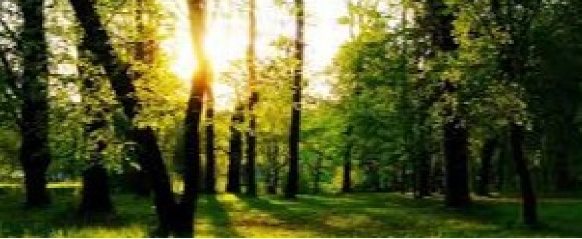 Permaculture design to Reality