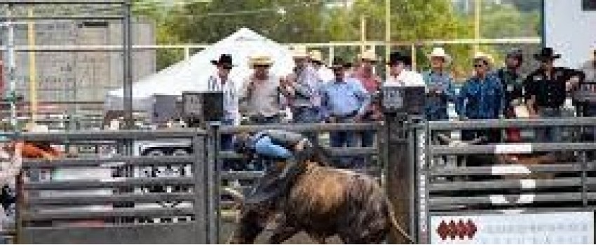 Comal County Fair & Rodeo 2023