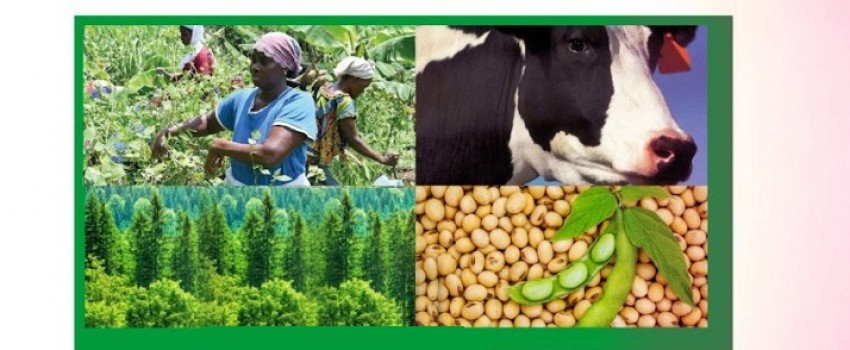 America International Agriculture Show 
