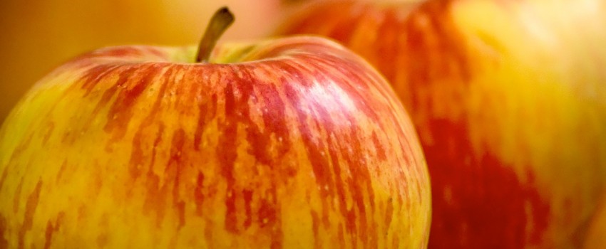Midwest Fruit Explorers Show 