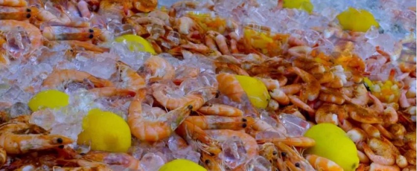 Siesta Beach Seafood & Music Festival