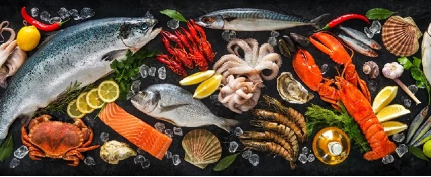 Punta Gorda Seafood & Music Festival