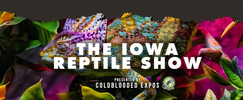 Iowa Reptile Show