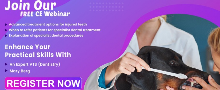 Advanced Dental Procedures.