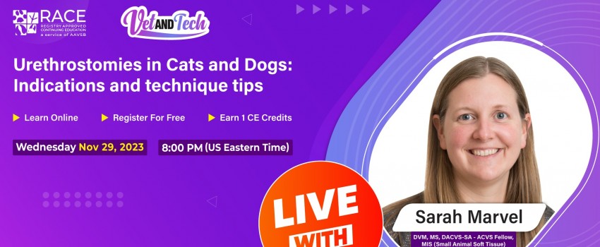 Urethrostomies in Cats and Dogs: Indications and technique tips
