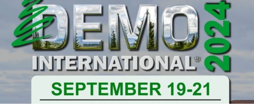DEMO INTERNATIONAL