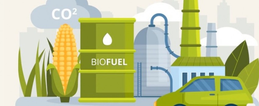 BIOENERGY EXPO