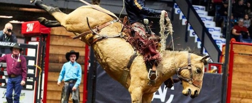 CANADIAN WESTERN AGRIBITION