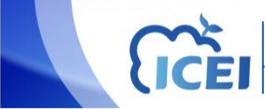 2024 5th International Conference on Environmental Informatics (ICEI 2024)