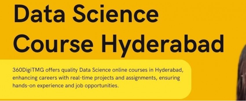 Unlock Your Potential: Data Science Training for Professionals