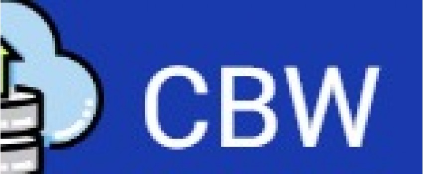 5th International Conference on Cloud, Big Data and Web Services (CBW 2024)