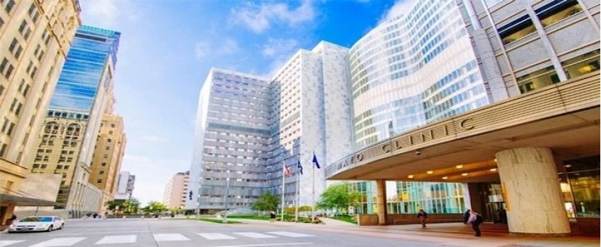 International Symposium on Surgery of the Spastic Upper Limb