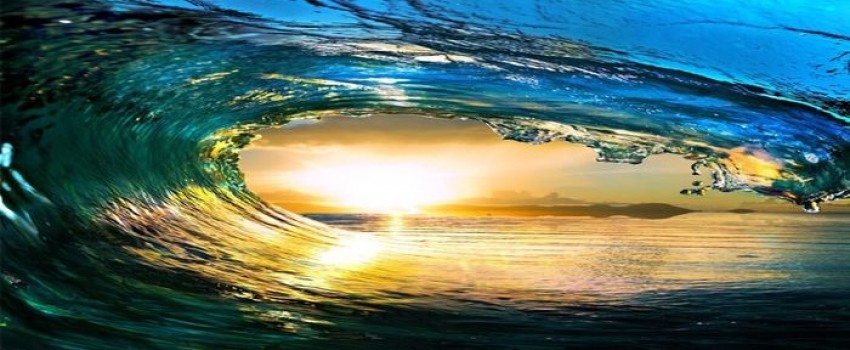 Hawaii Heart - Echocardiography and Multimodality Imaging