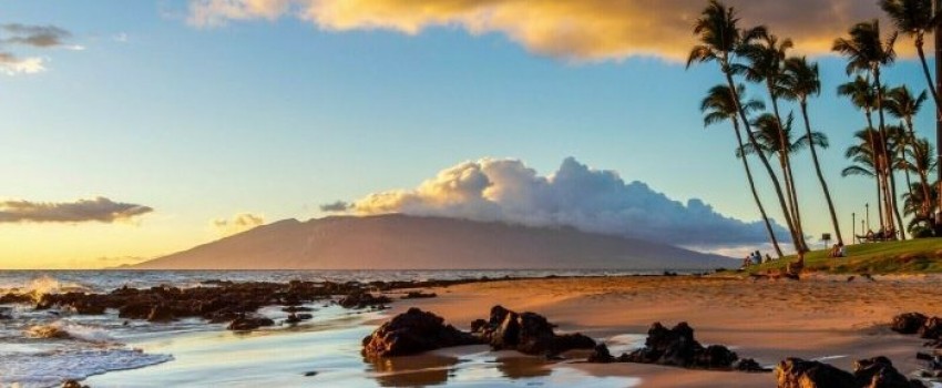 Mayo Clinic Tutorials in Diagnostic Radiology - Maui, Hawaii - January 12-16, 2025
