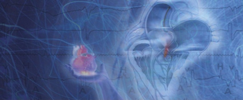 Cardiovascular Board Review for Initial Certification and Recertification