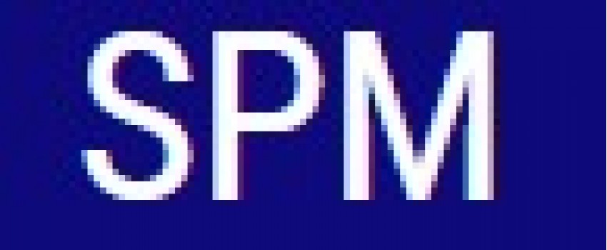 11th International Conference on Signal, Image Processing and Multimedia (SPM 2024)