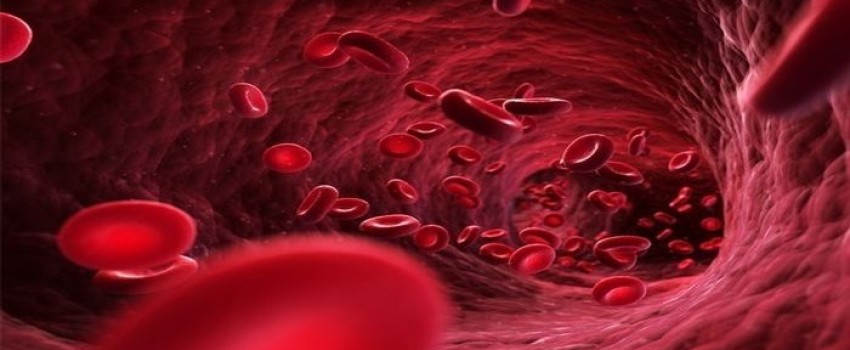 8th Annual Hematology and Oncology for NPs and PAs 2024
