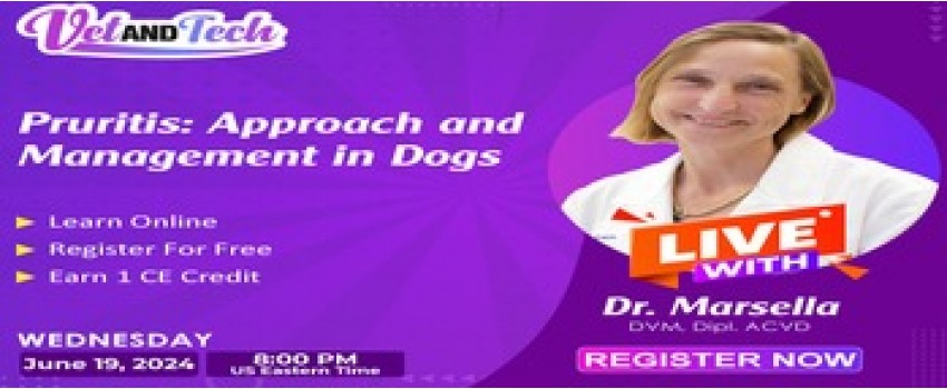 Pruritus: Diagnostic Approach and Management in Dogs