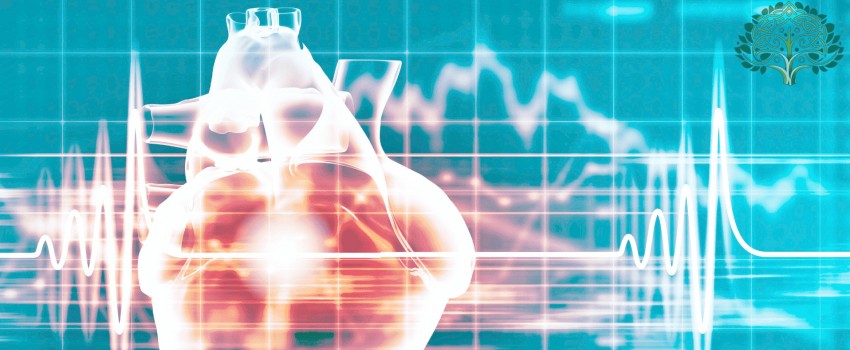 Global Conference on Cardiology
