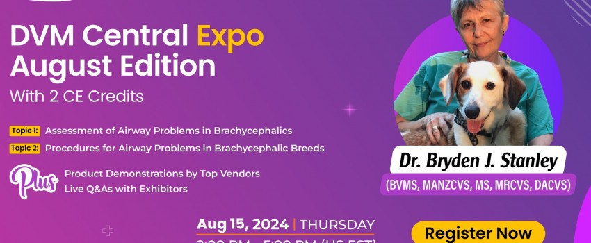 ???? Get Ready for DVM Central Expo - August Edition! ????